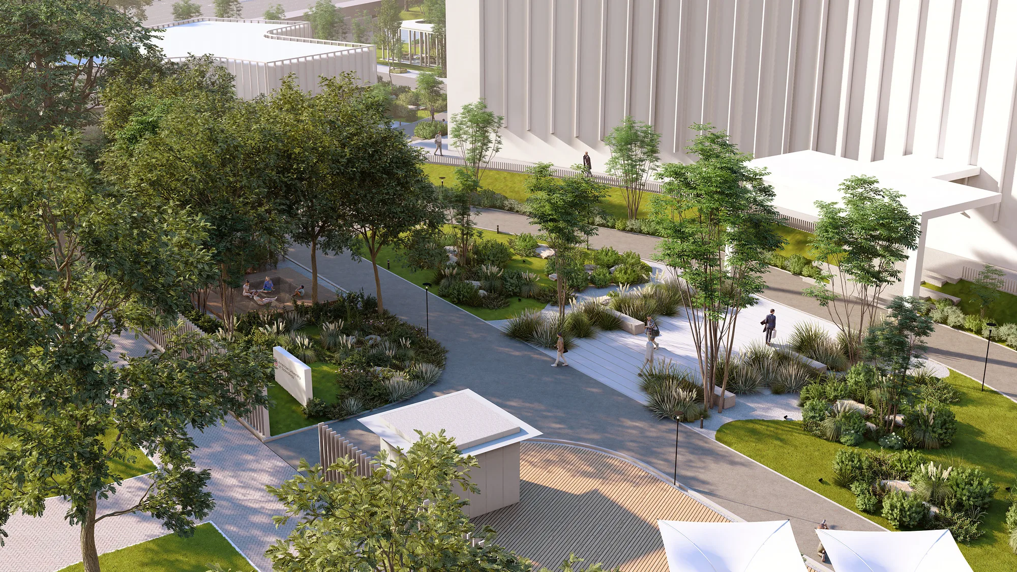 Arizona University campus landscape render: alleys and planting beds — SAD studio