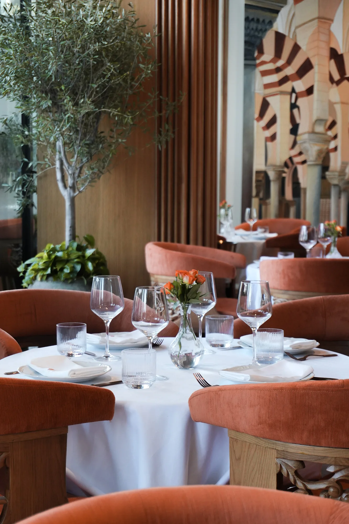 Photo of tables beside olive trees