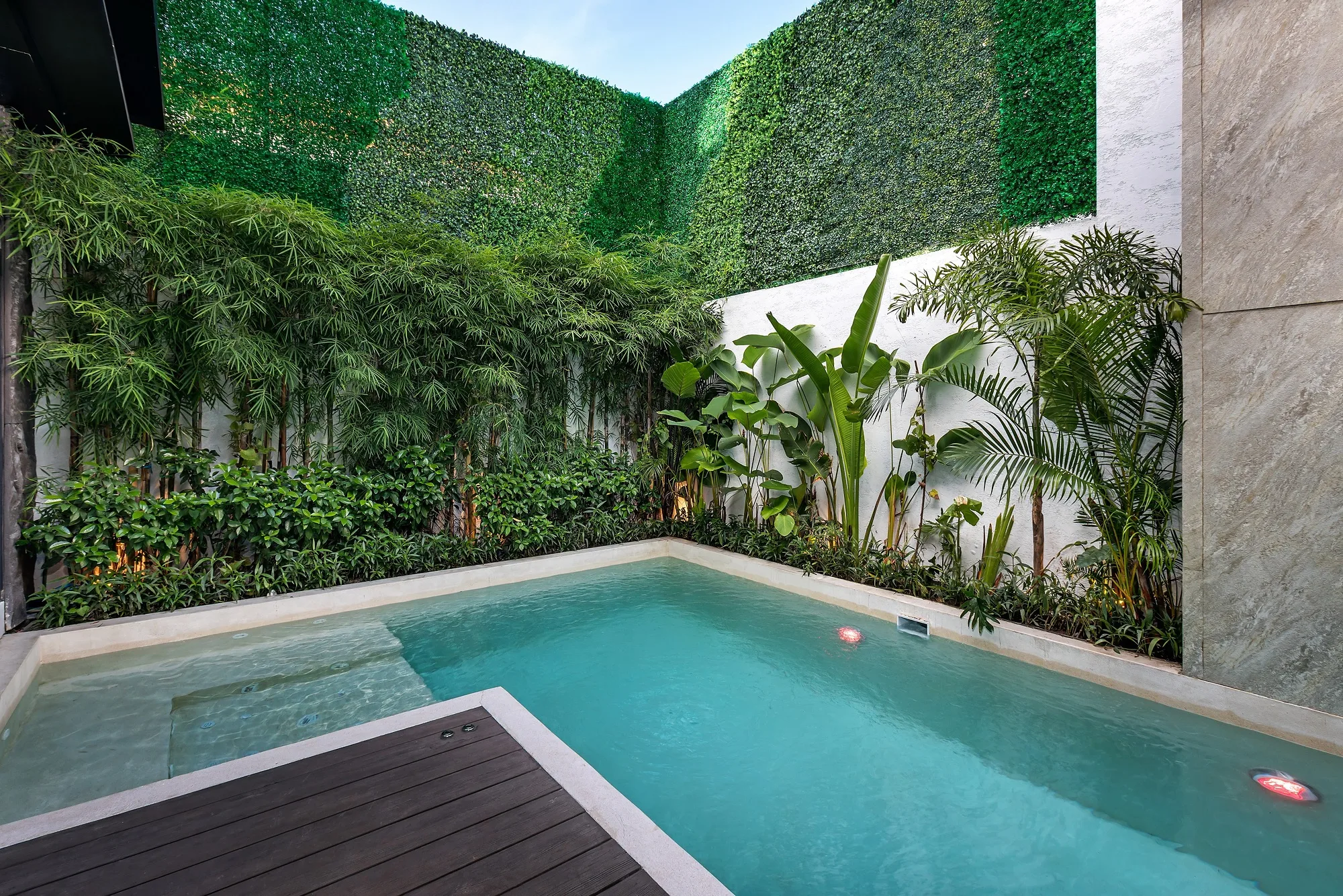 The courtyard pool against the green wall: timber decking and tropical planting