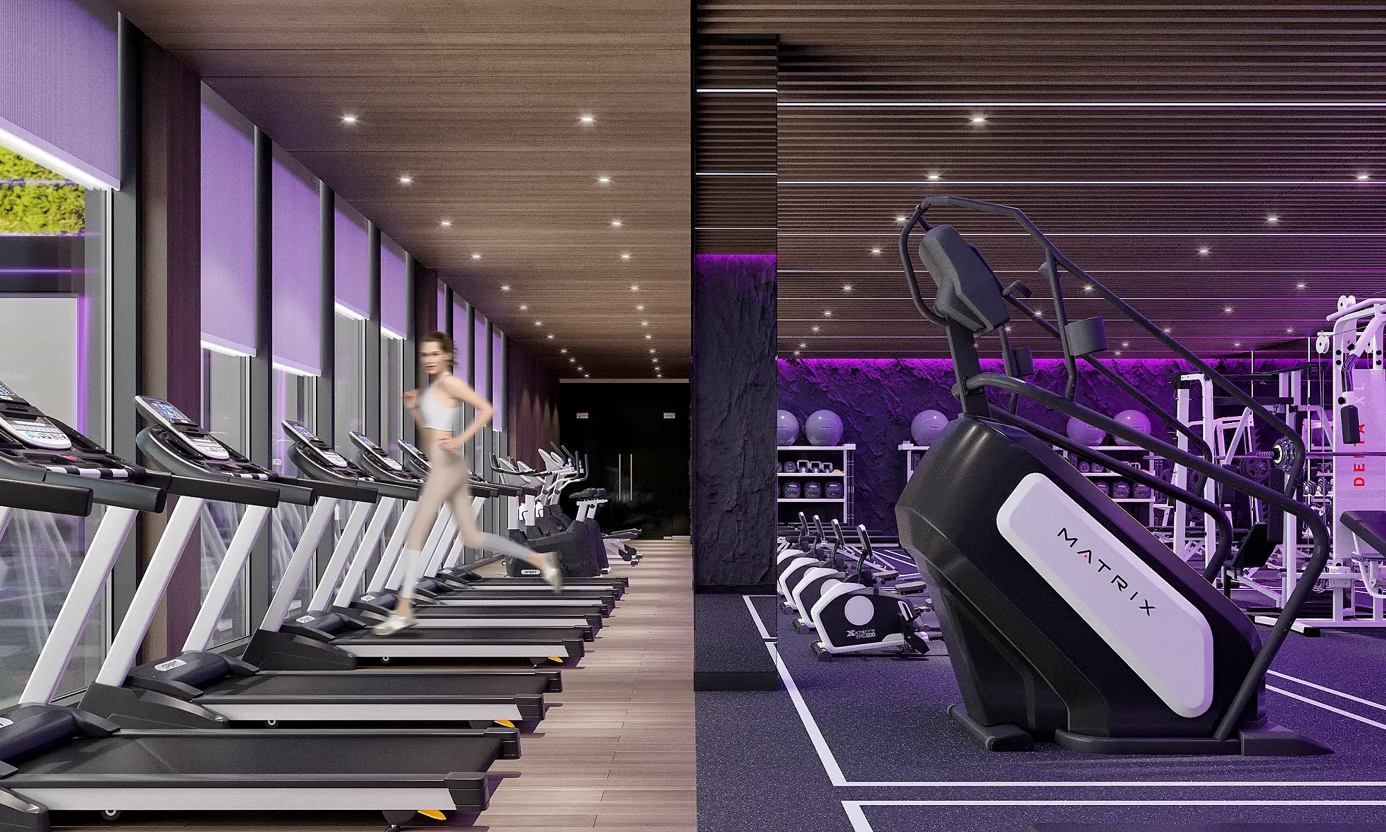 The gym
