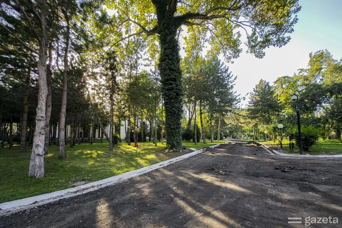 A shaded alley in the park at the Oqsaroy residence in Tashkent, with mature trees on both sides of the path