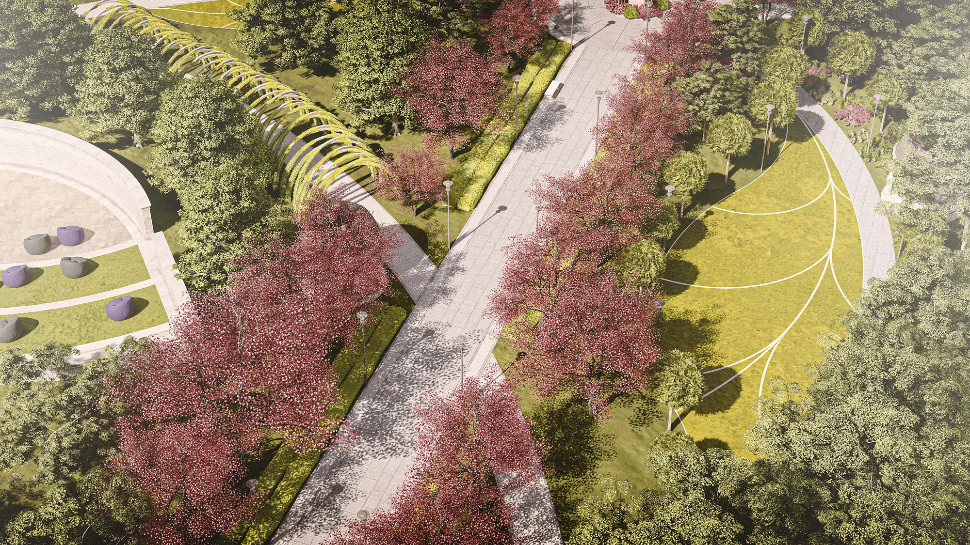 Sheron park from above: paths and blossoming trees