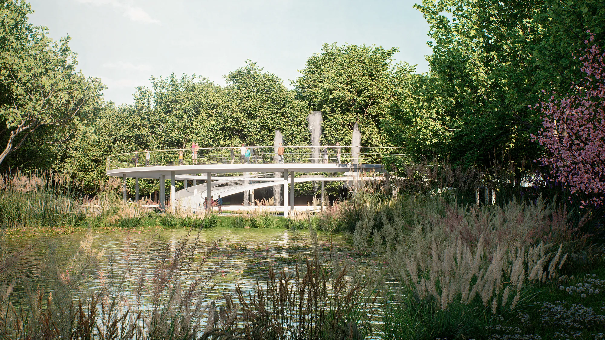 The pond in Sheron park: a bridge over the water and grasses along the banks